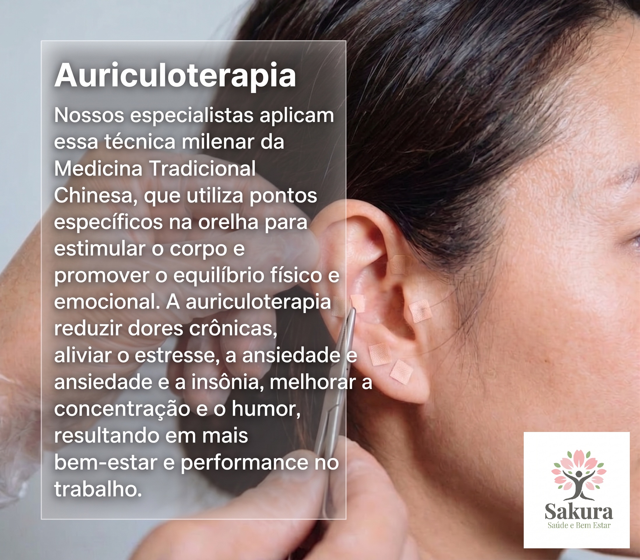 auriculo.jpg